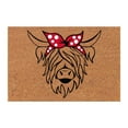 Cow's Shaggy Doormat Themed Doormat Entrance Way Mat With