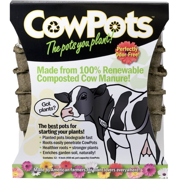CowPots 00102 Plantable Pots, Square, 4-in, 12-Pk. - Quantity 1