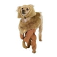 thumbnail image 1 of Cowardly Lion Pet Costume, 1 of 2