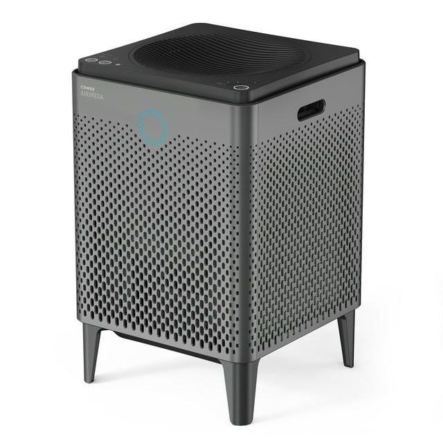 Coway Air Purifier Airmega 400 Graphite True HEPA Air Purifier with 1560 sq ft Coverage, Auto, Eco, & Sleep Mode, Air Quality & Filter Replacement Indicator