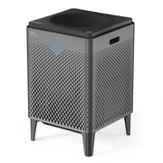 Coway Air Purifier Airmega 400 Graphite True HEPA Air Purifier with 1560 sq ft Coverage, Auto, Eco, Sleep Mode, Air Quality & Filter Replacement Indicator