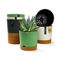 Cowb Manm 6.5 in Self-Watering Flower Pot 6 PACK Plastic Planter with Drainage Holes Home Deco