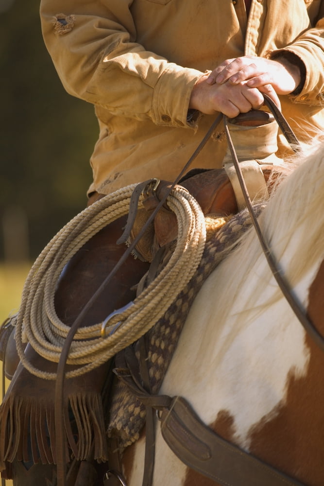 Cowboy And Lasso Canvas Art - Carson Ganci Design Pics (22 x 34)