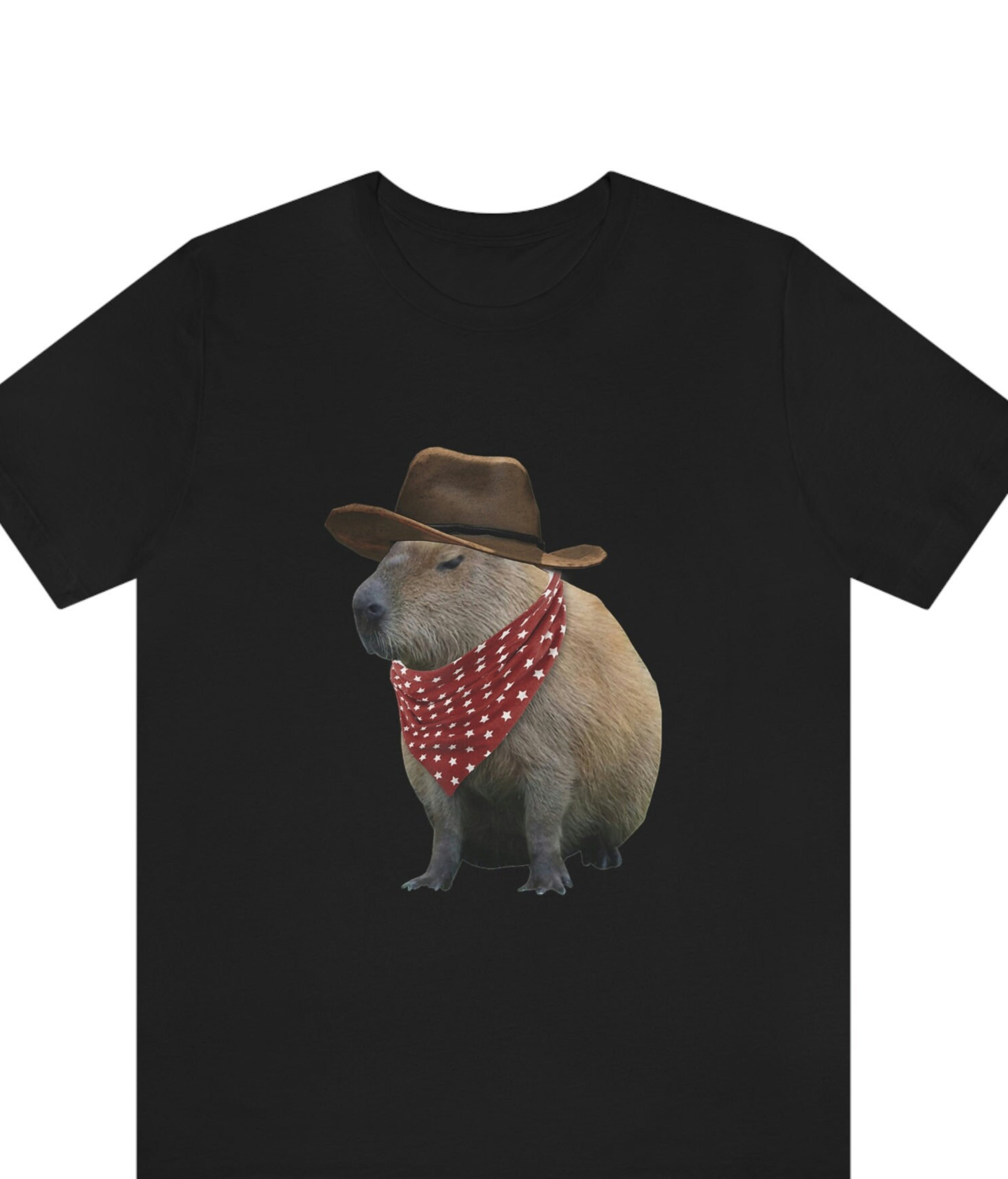 Lustiger Capybara Hoodie 'I Was 6 Now I'm 7' – 7. Geburtstag Pullover Für Jungen & Mädchen Mit Meme Design