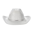 thumbnail image 1 of Cowboy Hat for Women Feather Diamond Strip Wide Brim Hats Felt Western Cowgirl Hats for Cosplay Fancy Dress Dress-up Party, 1 of 7