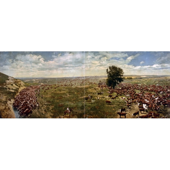 Cowboy History (36 x 24)