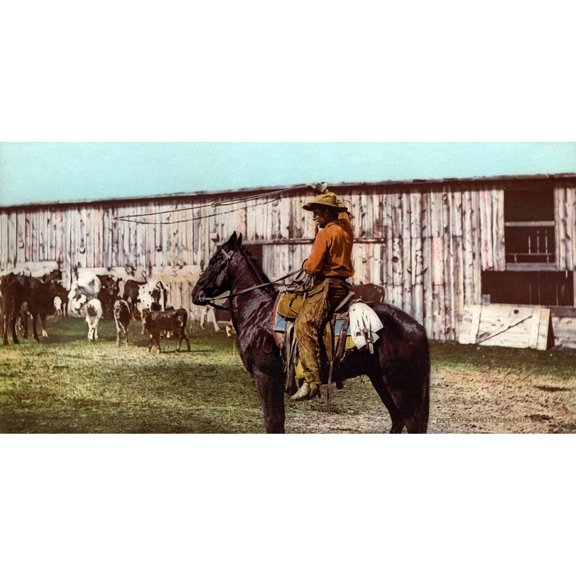 Cowboy Throwing Lariat History (36 x 24)