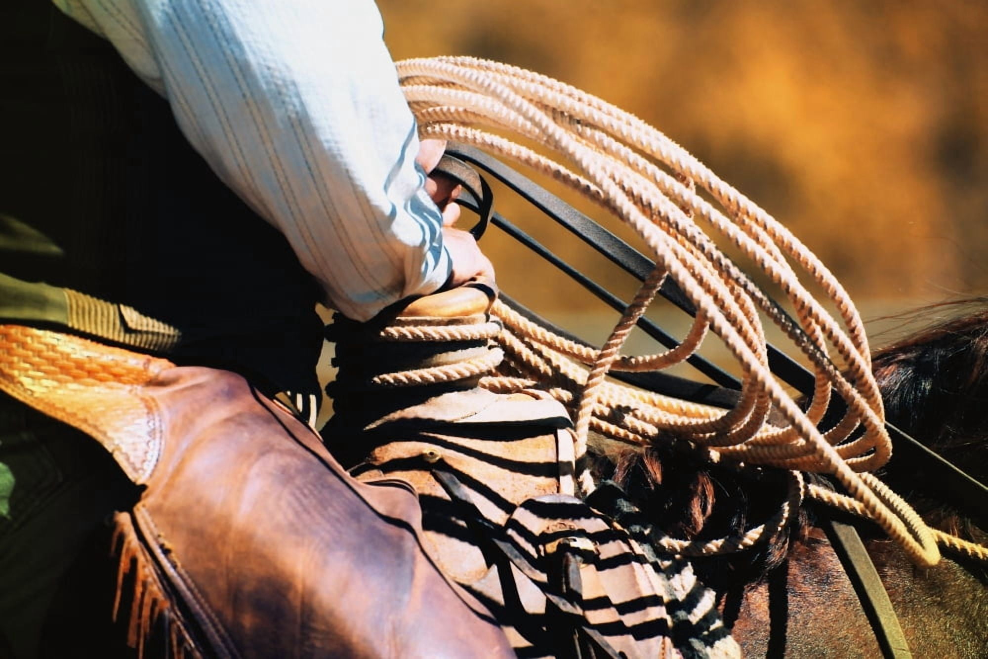 Cowboy With Rope Canvas Art - Carson Ganci Design Pics (17 x 11)