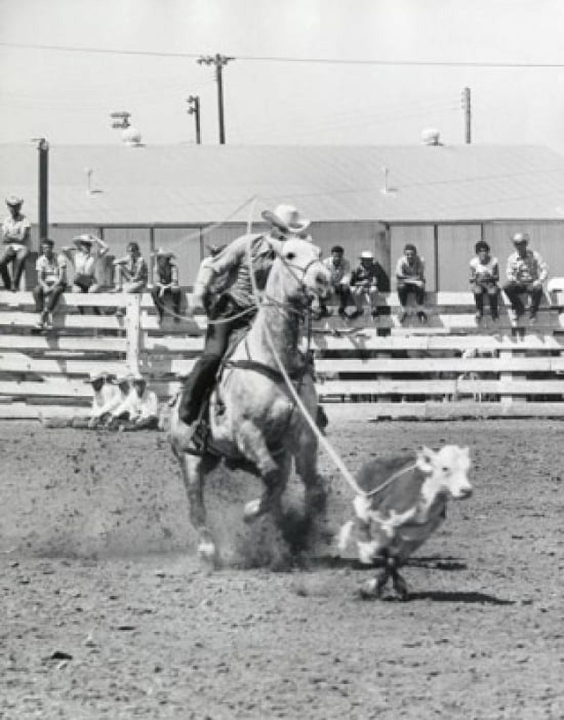 Cowboy lassoing calf in rodeo Canvas Art - (18 x 24)