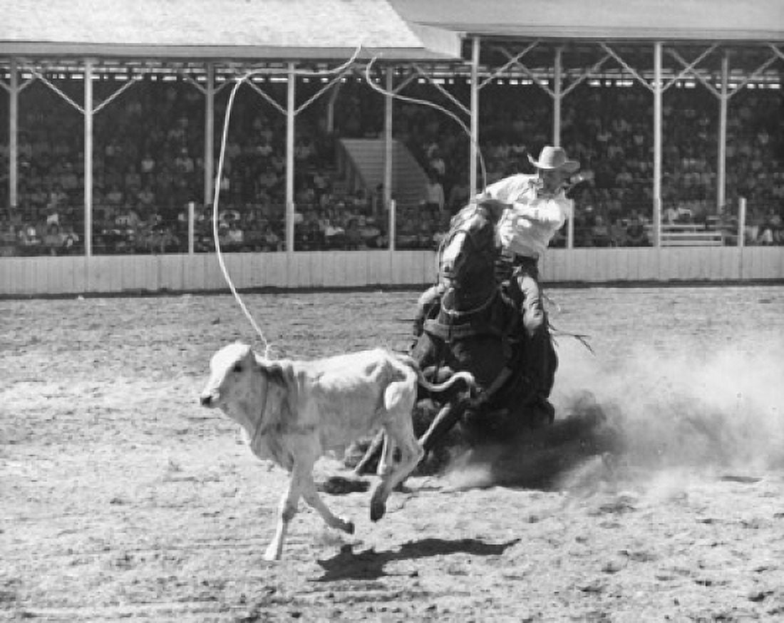 Cowboy lassoing calf in rodeo Canvas Art -  (24 x 36)