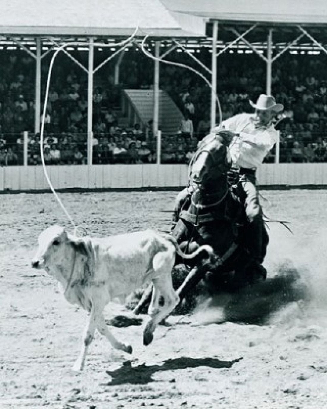 Cowboy lassoing calf in rodeo Canvas Art - (24 x 36)