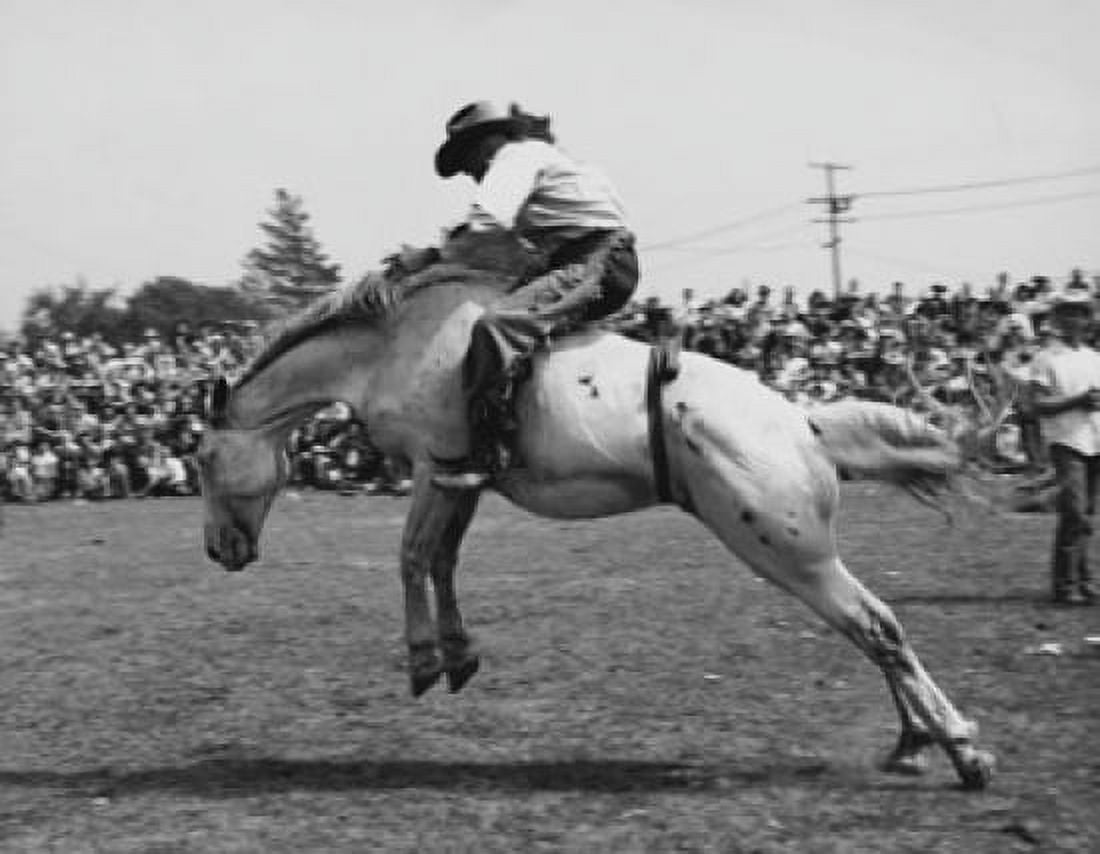 Cowboy riding a bucking horse at a rodeo Canvas Art - (18 x 24)