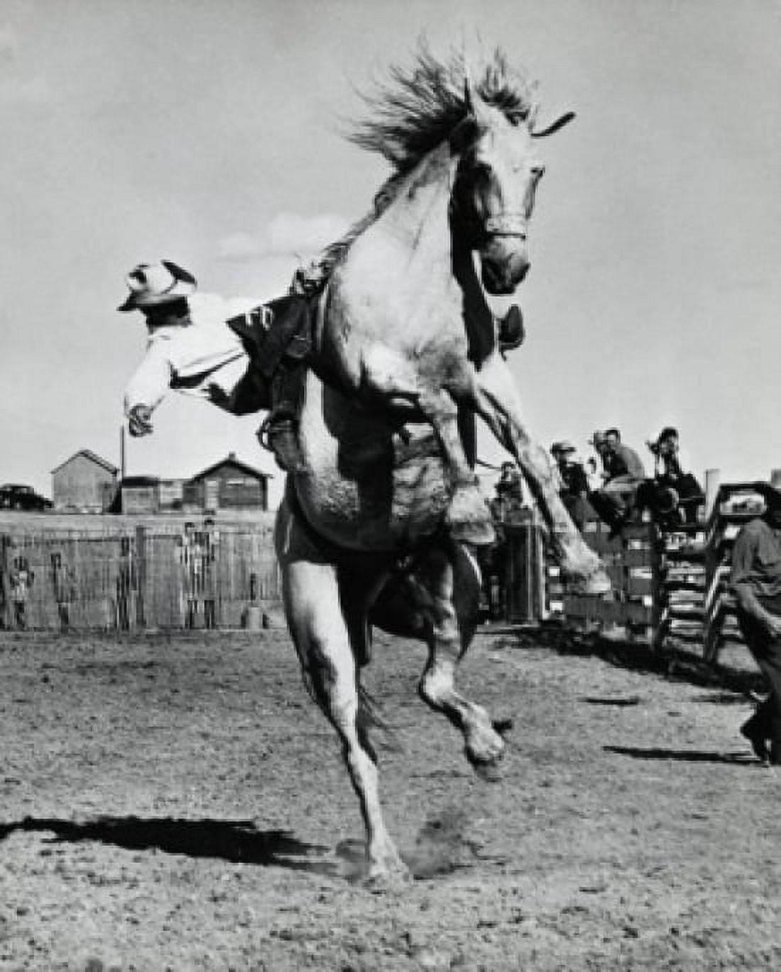 Cowboy riding a bucking horse at a rodeo Canvas Art - (24 x 36)