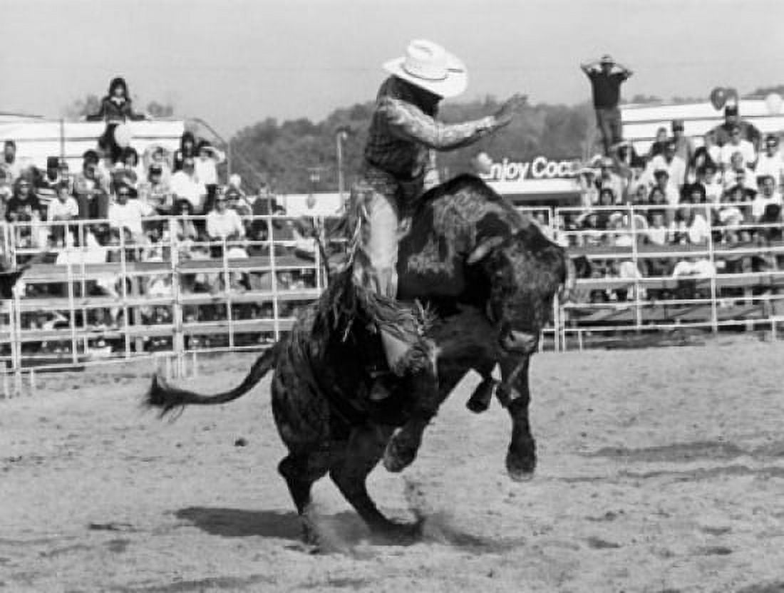 Cowboy riding a bull in a rodeo Canvas Art -  (24 x 36)