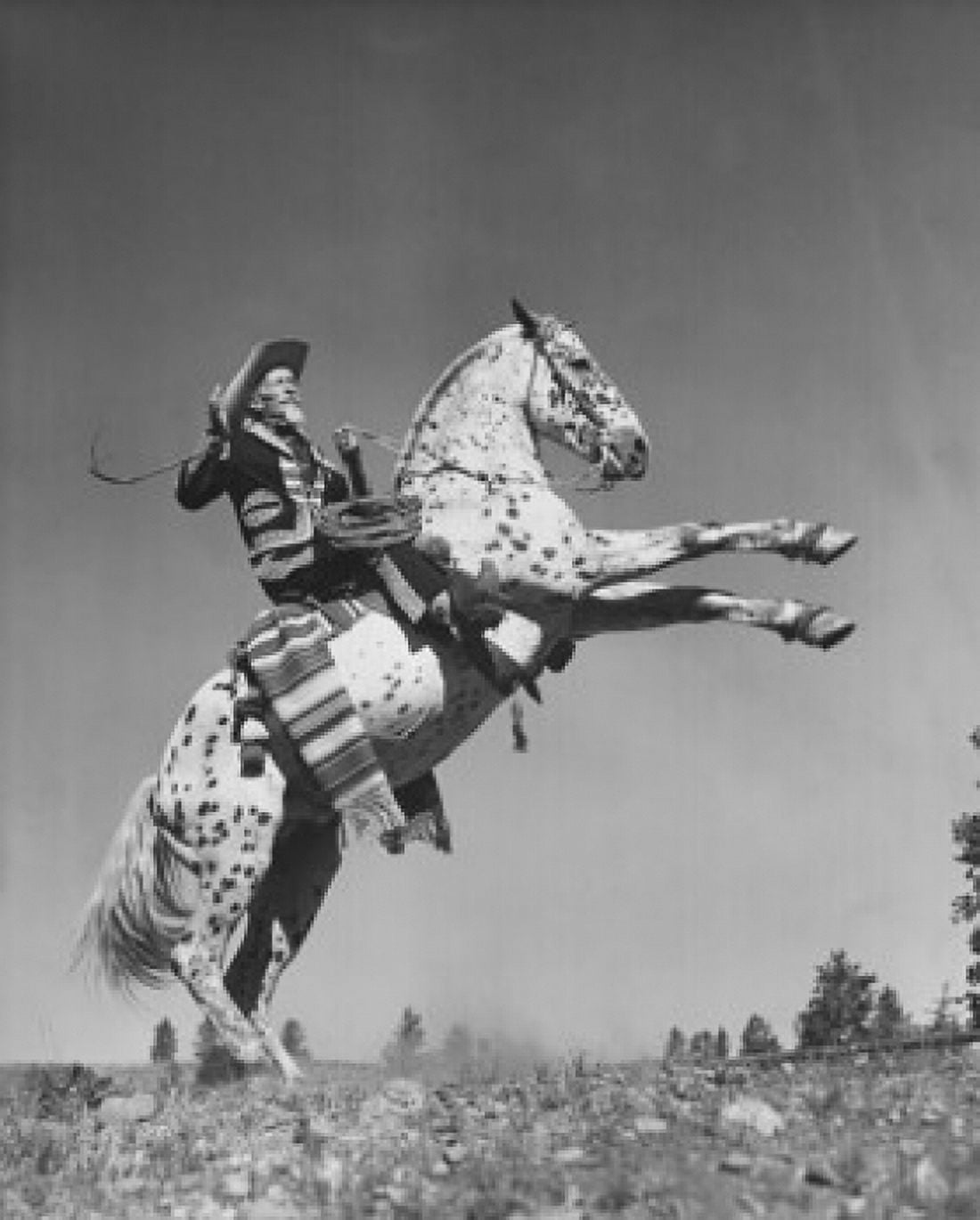 Cowboy riding a rearing horse Canvas Art - (24 x 36)