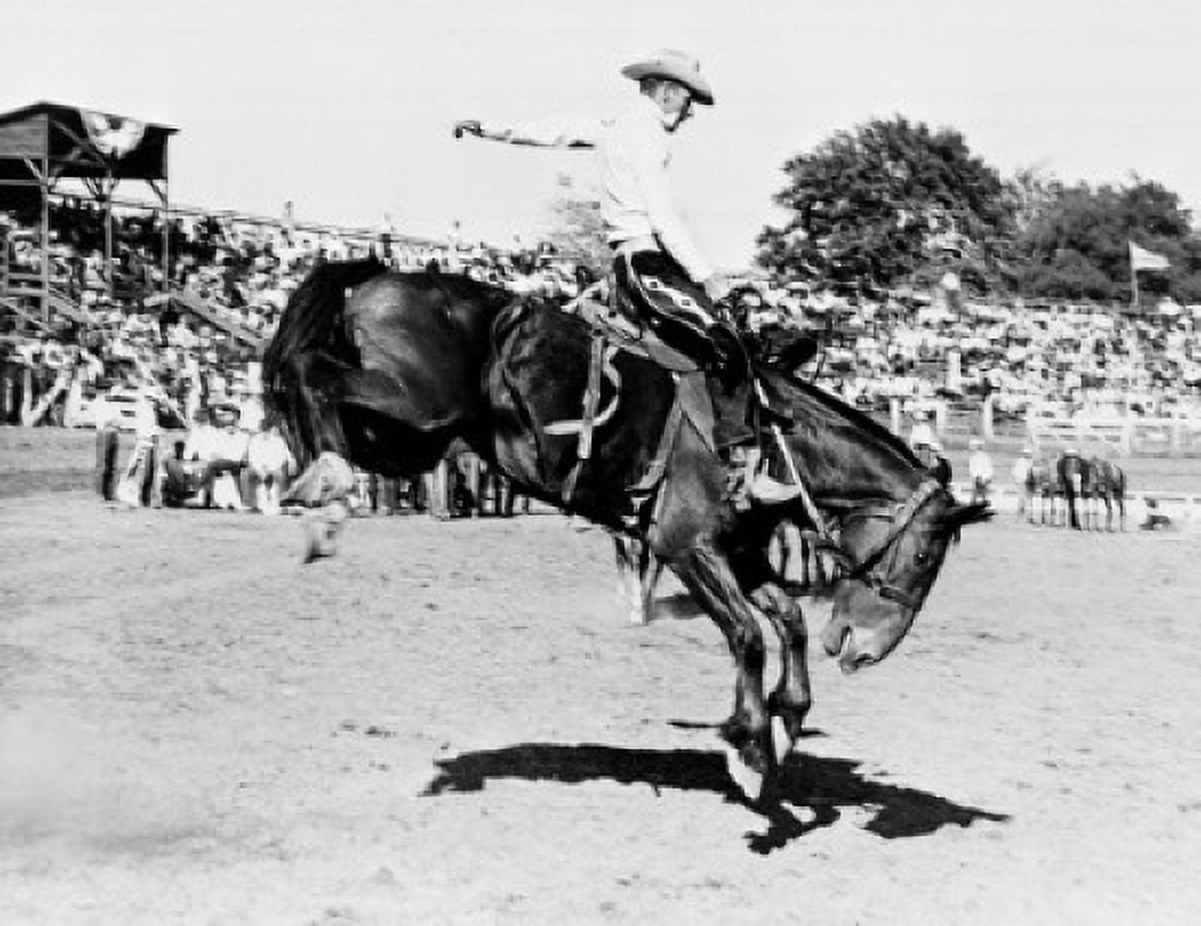 Cowboy riding bucking horse in rodeo Canvas Art - (24 x 36)
