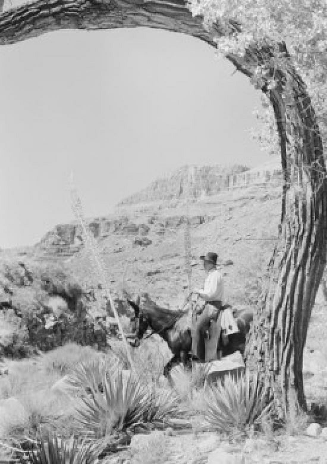 Cowboy riding horse Canvas Art - (24 x 36)