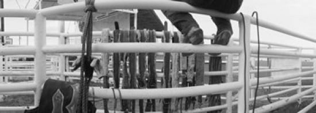 Cowboy with tacks at rodeo Pecos Texas USA Canvas Art - Panoramic Images (18 x 7)