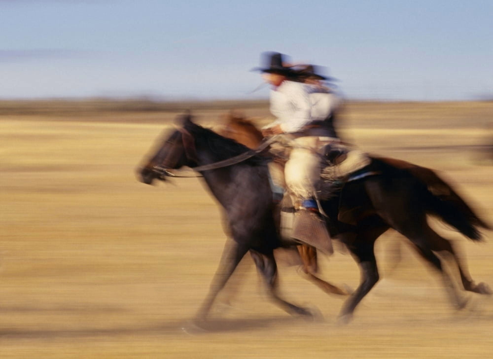Cowboys Racing Horses Canvas Art - Natural Selection Craig Tuttle Design Pics (17 x 13)