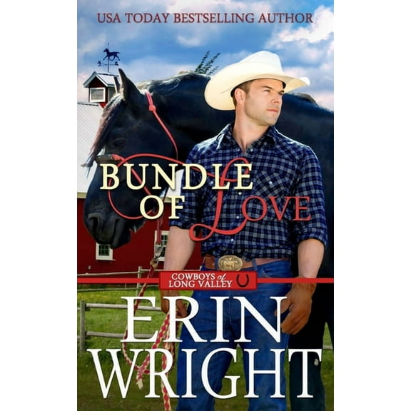Cowboys of Long Valley Romance Bundle of Love: An Office Contemporary Western Romance, Book 7, (Paperback)