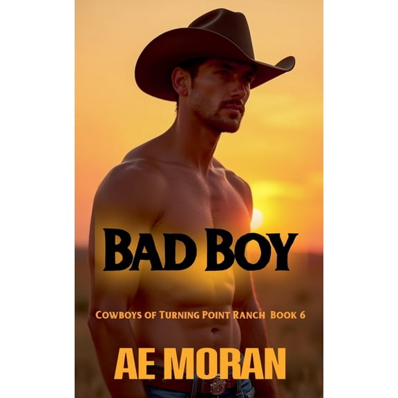 Cowboys of Turning Point Ranch Bad Boy, Book 6, (Paperback)