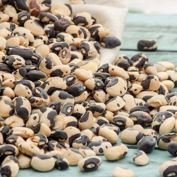 Cowpea Phenomenal Seed