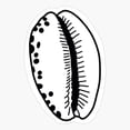 thumbnail image 1 of Cowrie Seashell Line Drawing Sticker, 1 of 4