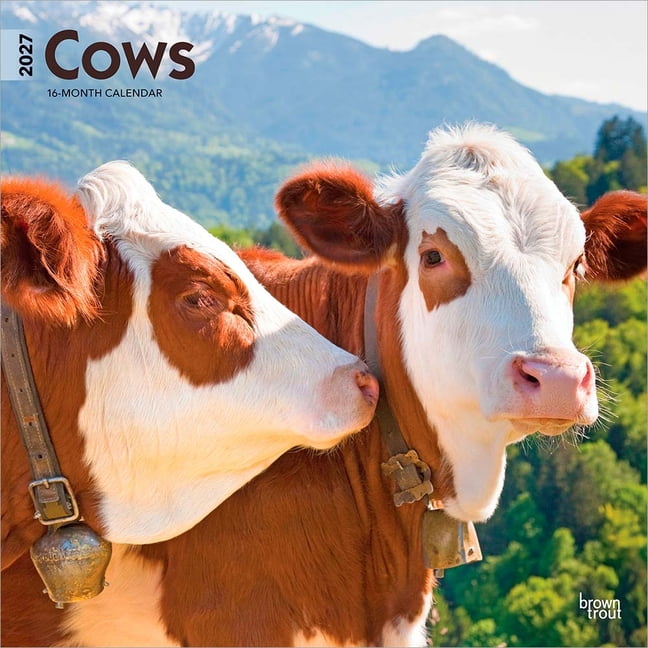 Cows 2027 12 X 24 Inch (Hanging) Monthly Square Wall Calendar Plastic-Free, (Paperback)