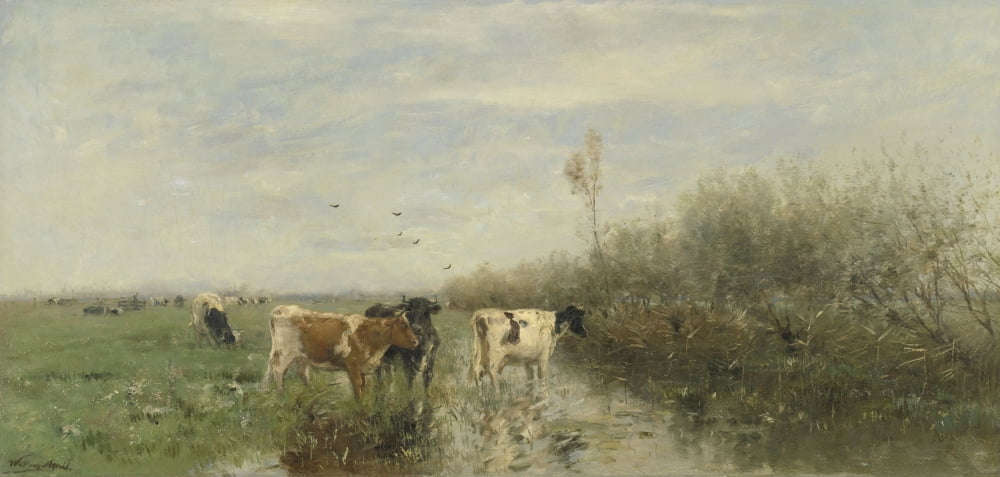 Cows In A Soggy Meadow Canvas Art - (24 x 18)