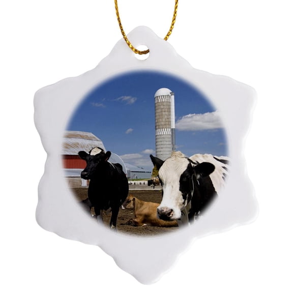 3drose, Cows, Red Barn, Silo, Farm, Wisconsin - Us50 Dfr0047 - David R. Frazier, 3 inch Snowflake Porcelain Ornament