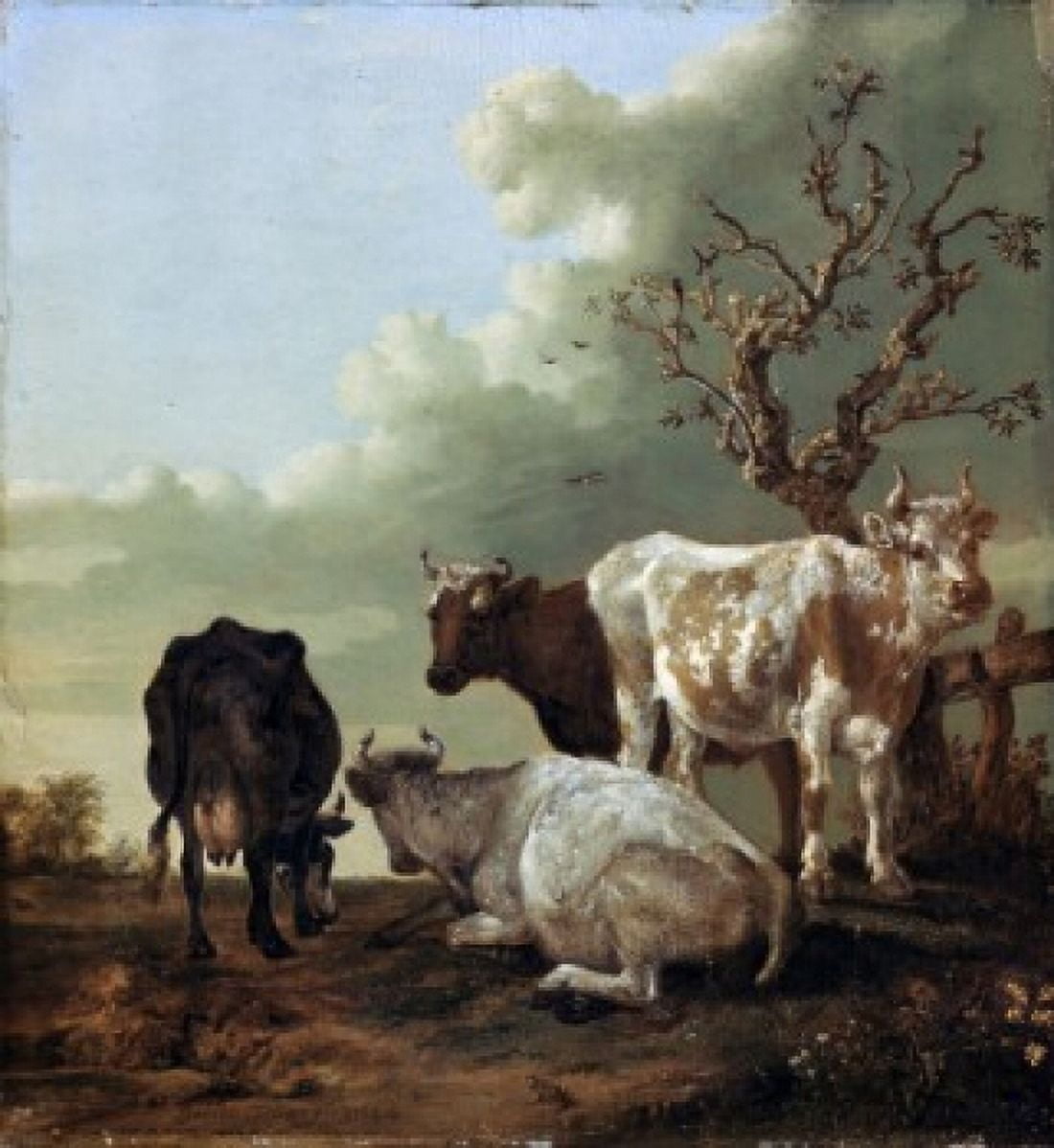 Cows in Pasture Paulus Potter (1625-1654 Dutch) Canvas Art - Paulus Potter (18 x 24)
