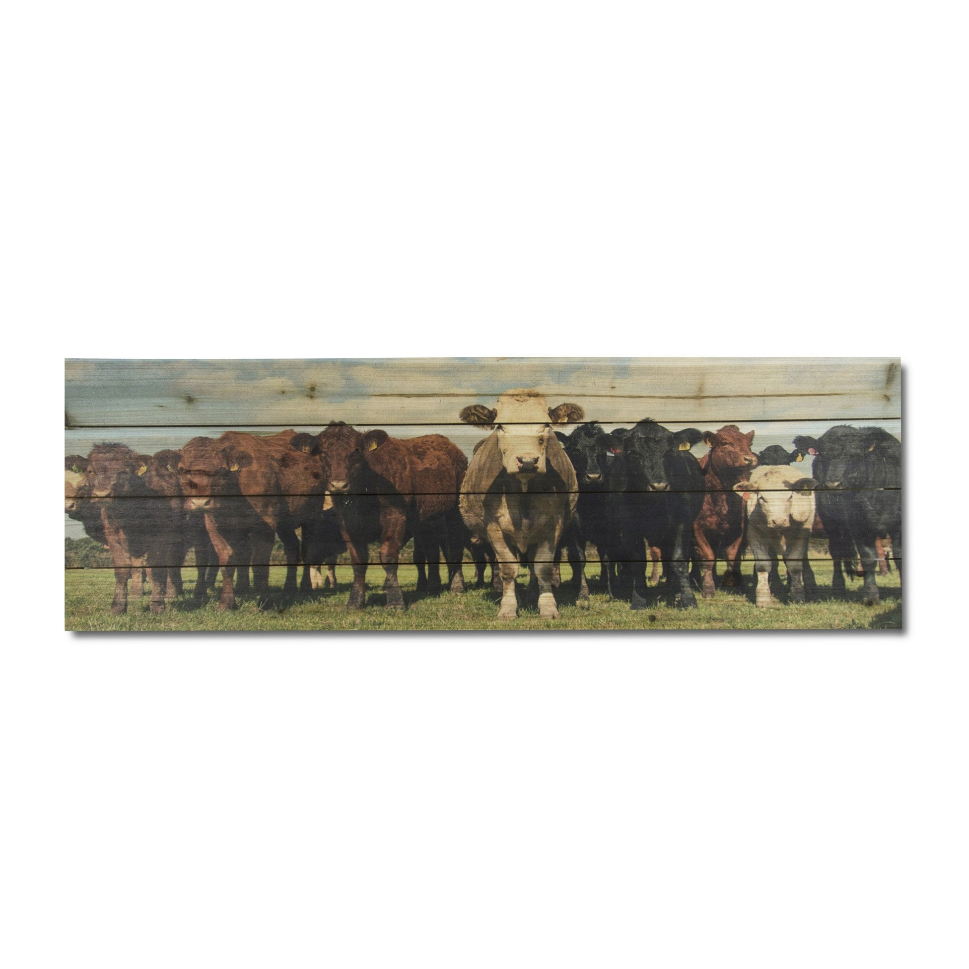 Rustic Cow Herd Print on Planked Wood Wall Art