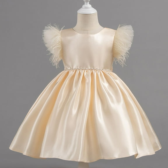 Cowsor Toddler Baby Girl Butterfly Tutu Dress Bowknot Princess Flower Girl Wedding Pageant Birthday Party Dresses