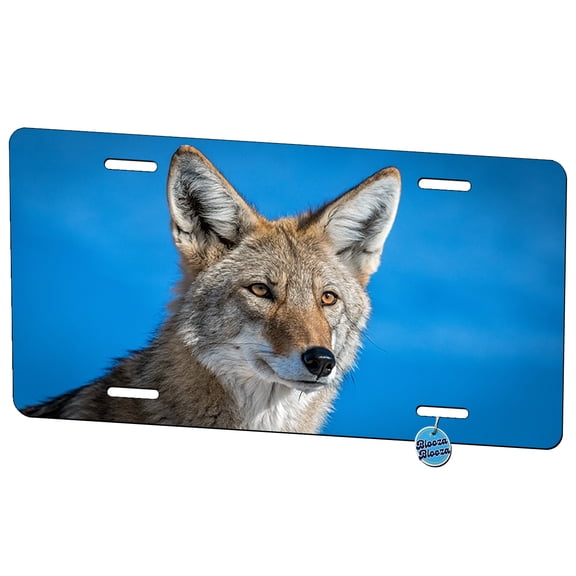 Coyote Face Blue Background Metal Novelty License Plate