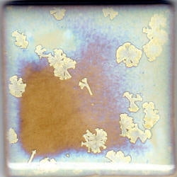 Coyote Glaze - Crystal Nebula - MBG164-P