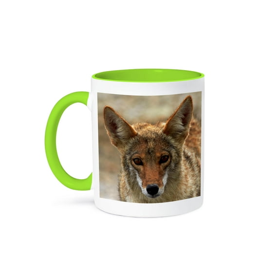 3drose, Coyote, Mojave Desert, California, Usa, 11oz Two-tone Green Mug