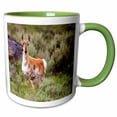 thumbnail image 1 of 3drose, Coyote N Antelope Share the Land, 11oz Two-tone Green Mug, 1 of 6