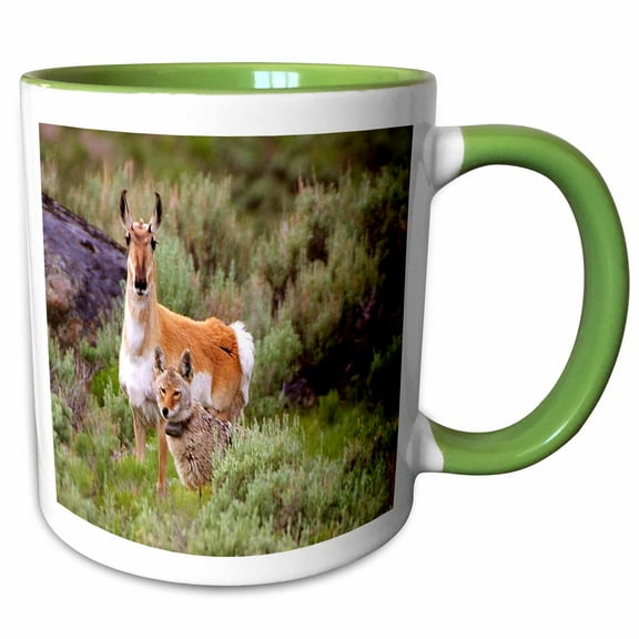3drose, Coyote N Antelope Share the Land, 11oz Two-tone Green Mug