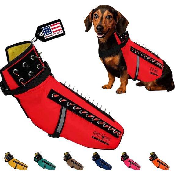 CoyoteVest Dog Harness Protection Vest, Reflective Dog Accessories with Spikes to Shield Your Pet from Raptor and Animal Attacks, Proudly Made in America (Medium,Red)