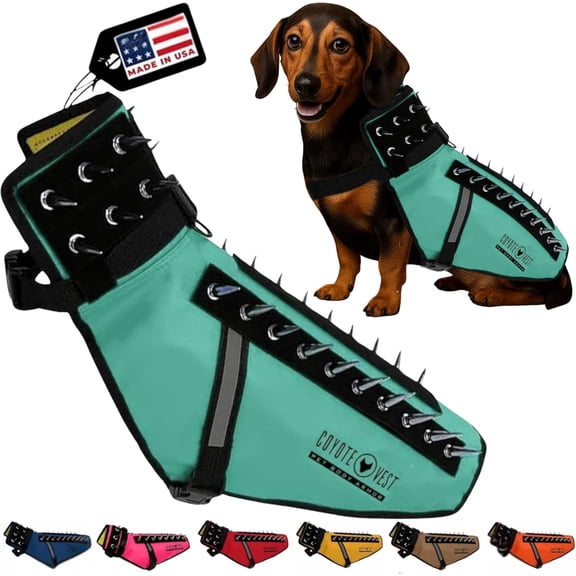 CoyoteVest Dog Harness Protection Vest for Small Dogs, Stab-Resistant Reflective Pet Vest with Removable Spikes, Anti-Coyote & Hawk Defense, Turquoise, Small
