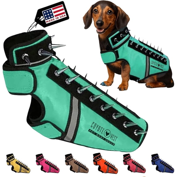 CoyoteVest SpikeVest (XS - Turquoise) Dog Harness Vest for Small Dogs, Reflective Dog Vest with Spikes to Shield Your pet from Coyotes, Raptor and Animal Attacks, Anti Hawk Vest, Made in USA