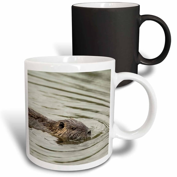 3drose, Coypu, Aka River Rat or Nutria Is a Large, Semi-aquatic Rodent., 11oz Magic Transforming Mug