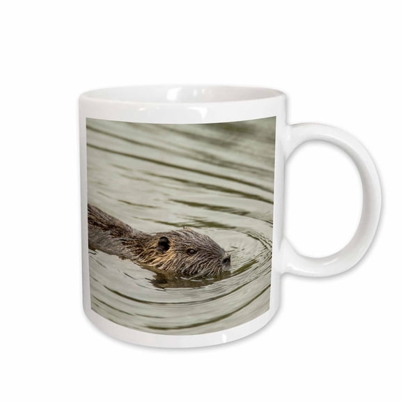 3drose, Coypu, Aka River Rat or Nutria Is a Large, Semi-aquatic Rodent., 11oz Mug