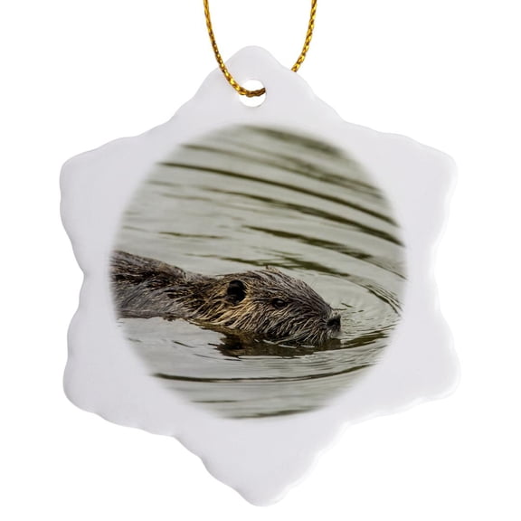 3drose, Coypu, Aka River Rat or Nutria Is a Large, Semi-aquatic Rodent., 3 inch Snowflake Porcelain Ornament
