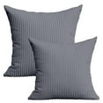thumbnail image 1 of Cozeii Set of 2 Striped Throw Pillows 20x20 Inch, Plush Polyester Pillow Cover with Hidden Zipper, Machine Washable Decorative Pillow Set for Sofa Bed, 1 of 9