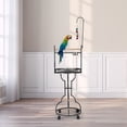 thumbnail image 1 of Coziwow Bird Stand Parrot Perch Large Play Stand with Toy Hook Rolling Wheel Stainless Steel Tray Bowls, 1 of 8
