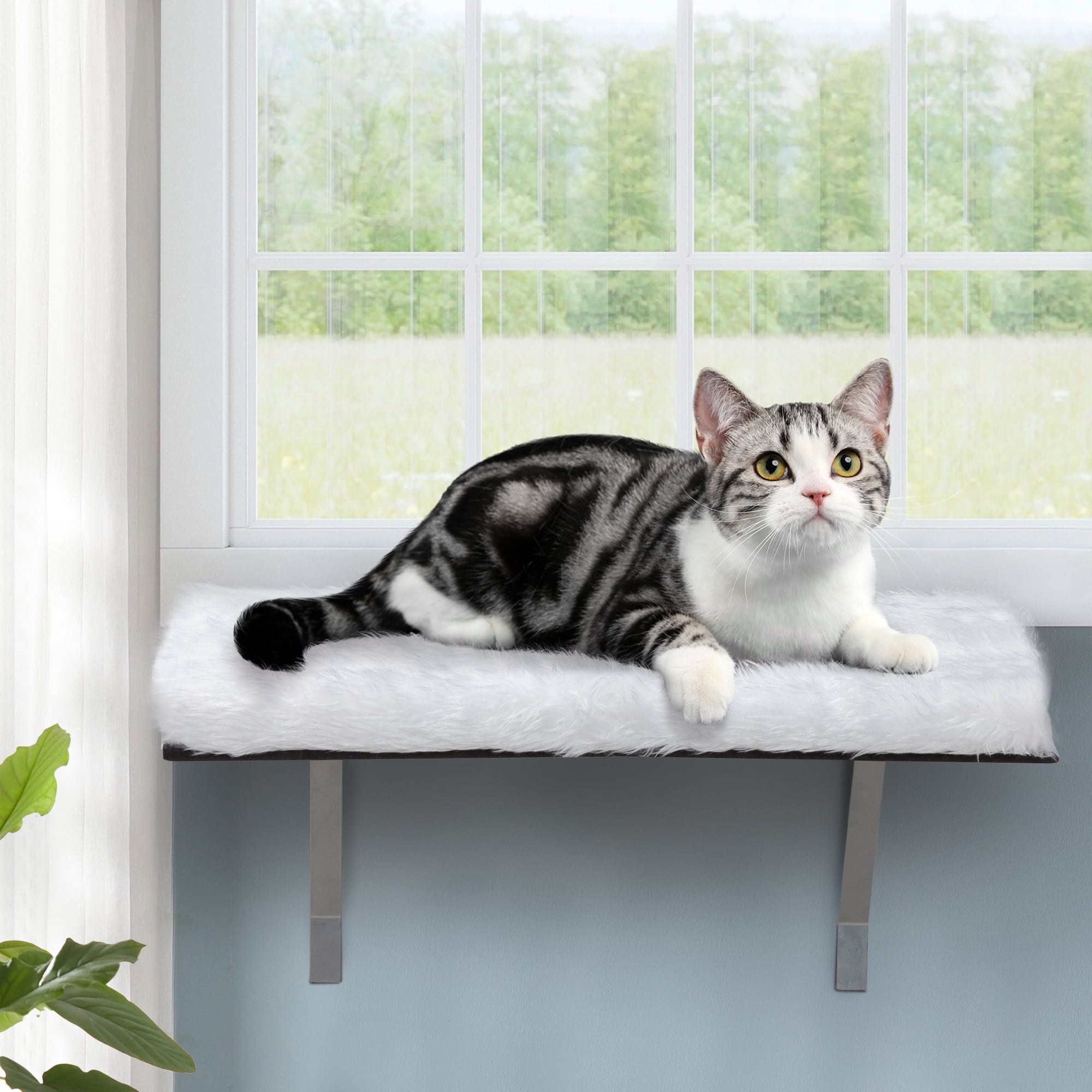 Coziwow Cat Perch Cat Hammock Window Seat, Padded Cat Wall Bed for Sunbathing, Napping Climbing, Max 44lbs, White