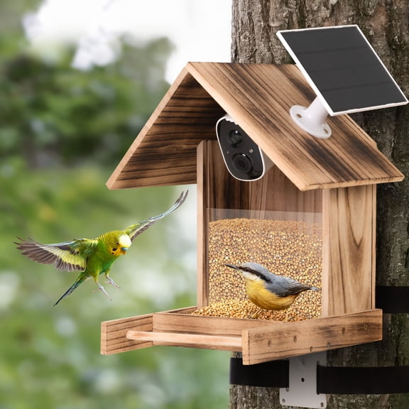 Coziwow Smart Bird Feeder with Camera Outdoor Bird Watching Camera Auto Capture with Solar Powered, Wood