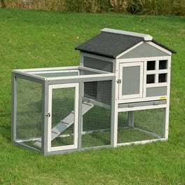 Rabbit Carrier Transport Cage 3 Hole 12x18x10 Walmart