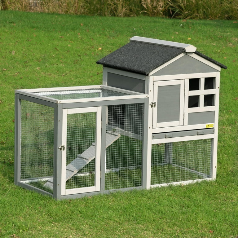 Guinea clearance pig coop